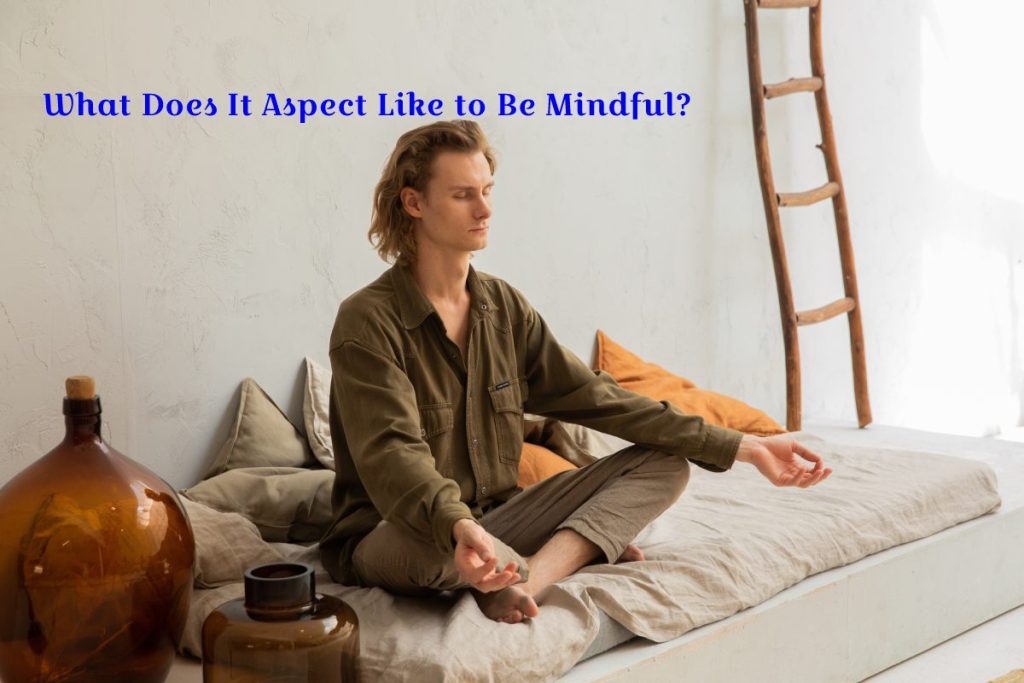 What Does It Aspect Like to Be Mindful