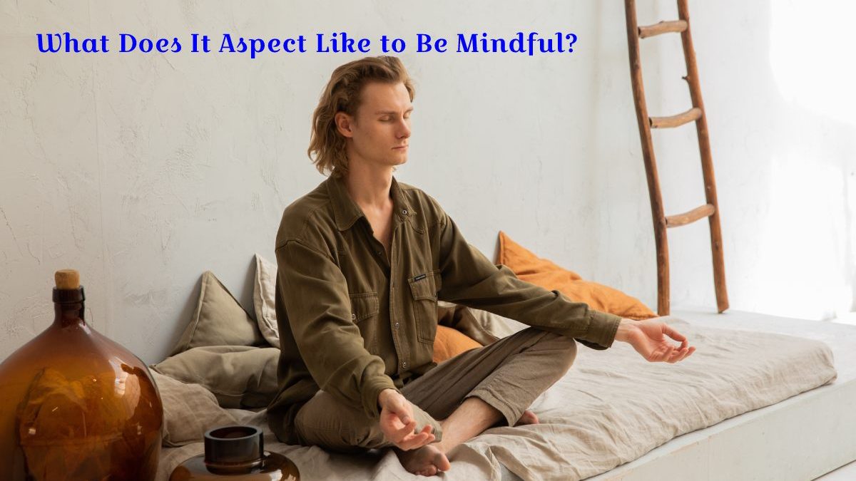 What Does It Aspect Like to Be Mindful?