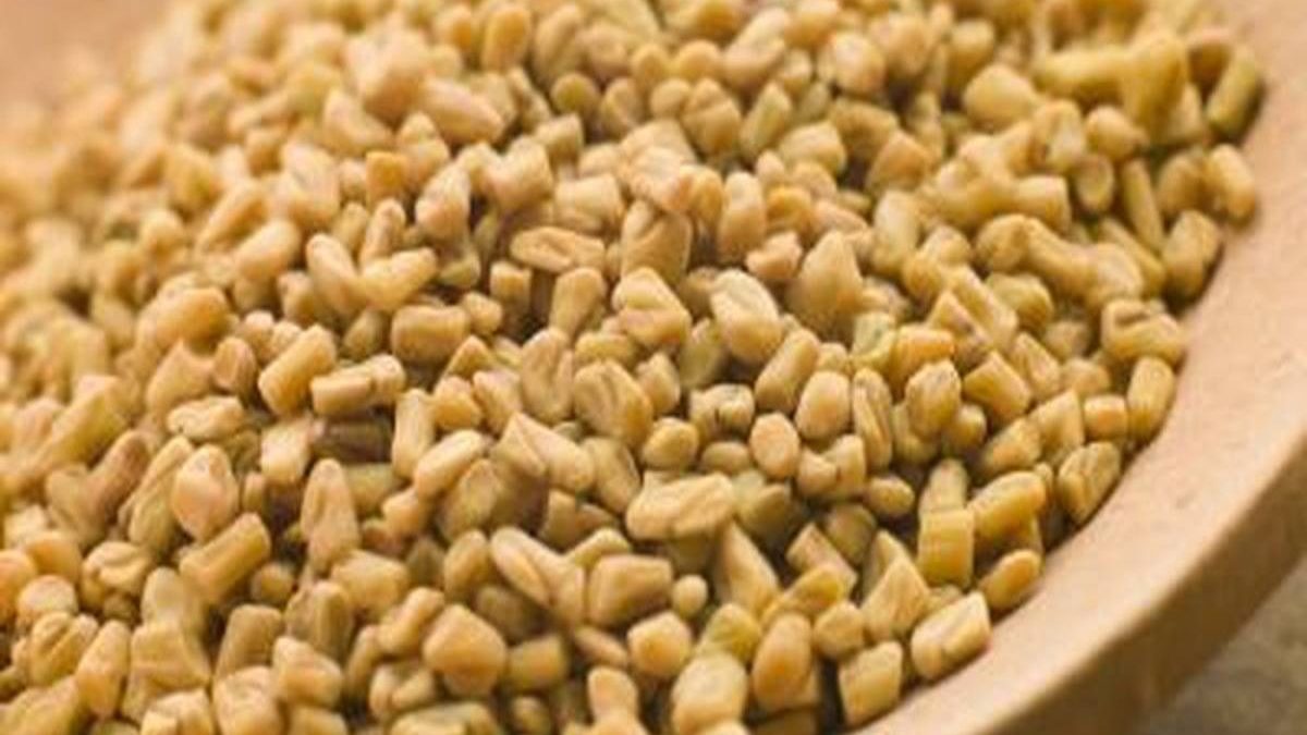 The Natural Seeds-Fenugreek for Hair