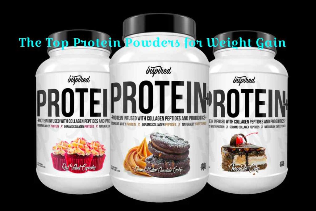 The Top Protein Powders for Weight Gain