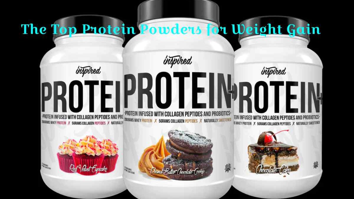 The Top Protein Powders for Weight Gain